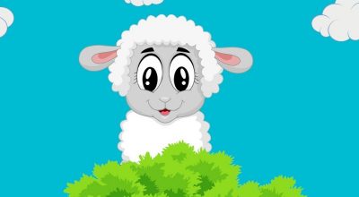 ovca ilustracija